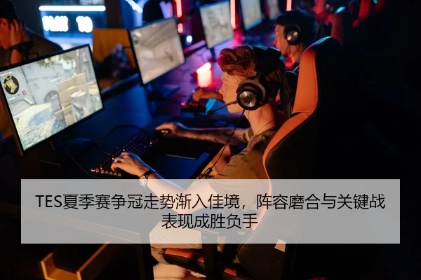 TES夏季赛争冠走势渐入佳境，阵容磨合与关键战表现成胜负手