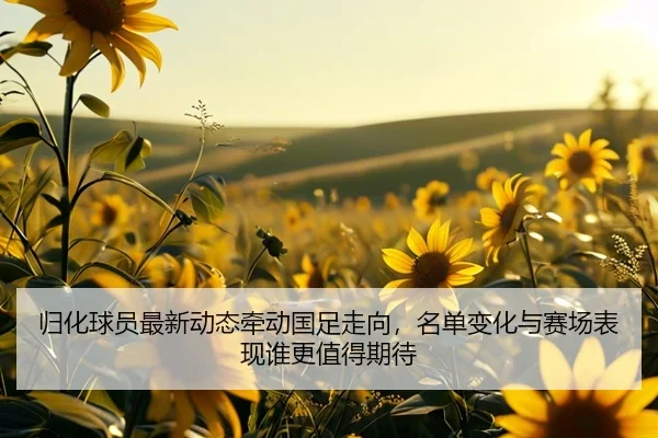 归化球员最新动态牵动国足走向，名单变化与赛场表现谁更值得期待